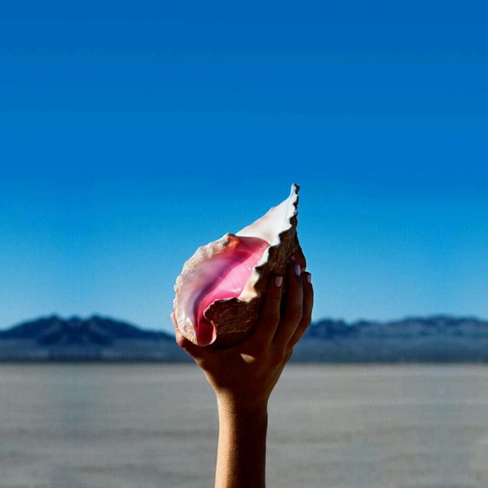 Meet your Posher, Oscar